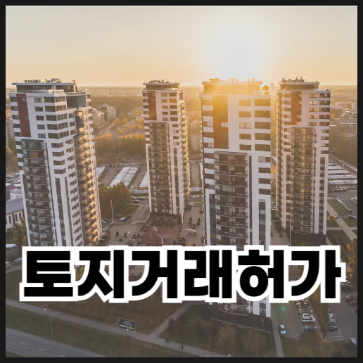  토지거래허가 지정 구역, 허가 절차, 실거주 의무 정리