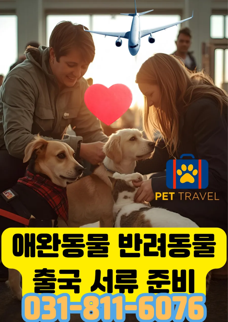  "애완동물 반려동물 해외출국 서류 대행, 안전하고 빠르게!"