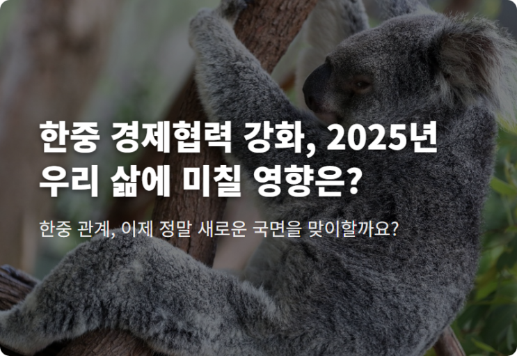 <b>한중</b> 경제<b>협력 강화</b>, 2025년 우리 삶에 미칠 영향은
