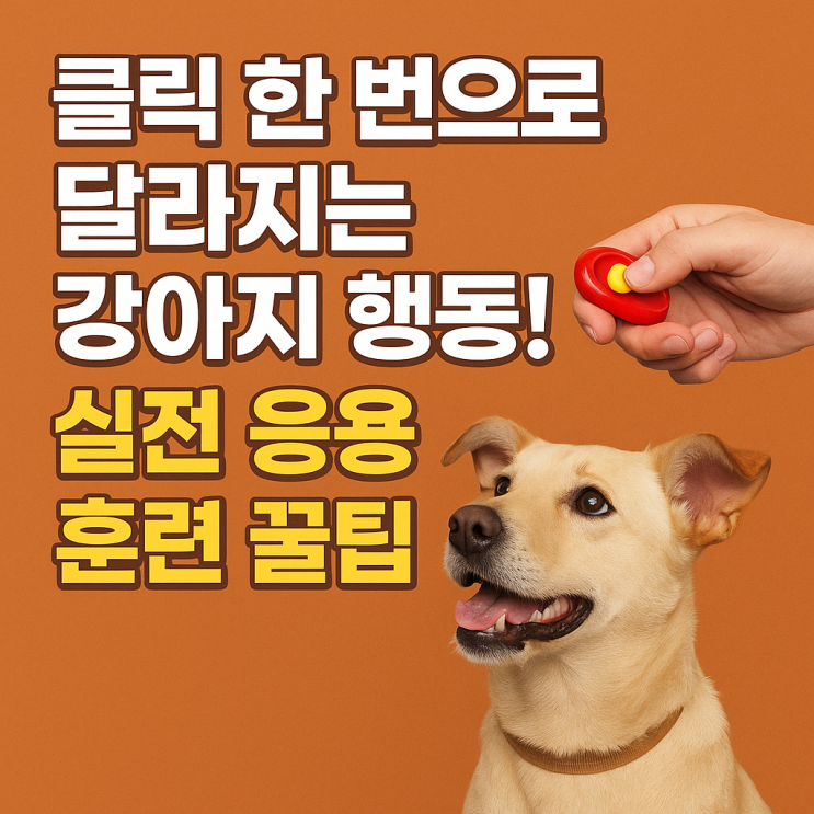   클릭 한 번으로 달라지는 우리 강아지! 클릭커 응용 훈련 완벽 가이드