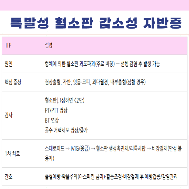 특발성 혈소판 감소성 자반증 뜻 원인 증상 진단 검사 치료 방법