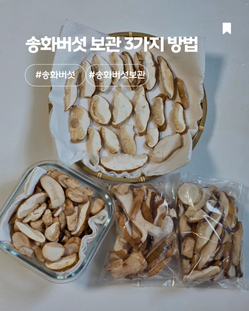 송화버섯 보관 냉장 냉동 건조 방법