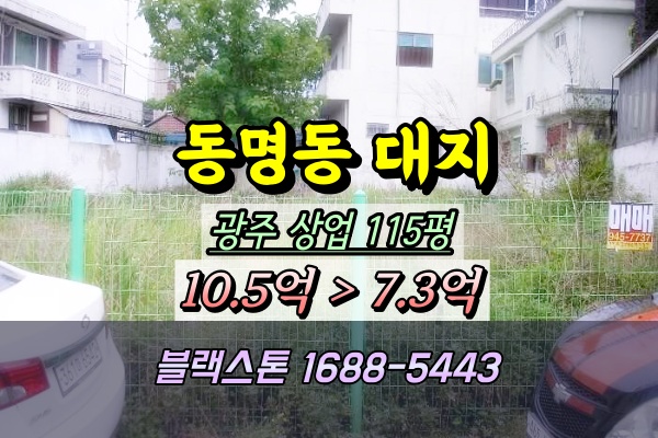  광주 동명동 대지 경매 상업지역 100평