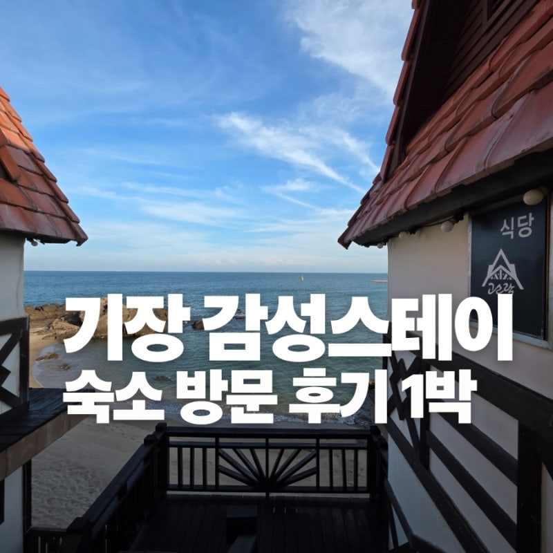 부산 기장 더무빙카라반 감성스테이 후기 | 웨이브온 카페 | 부산 기장 숙소