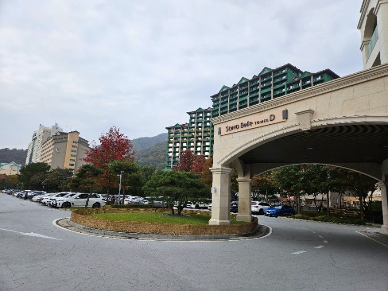 홍천인삼한우축제 홍천사과축제 소노벨비발디파크