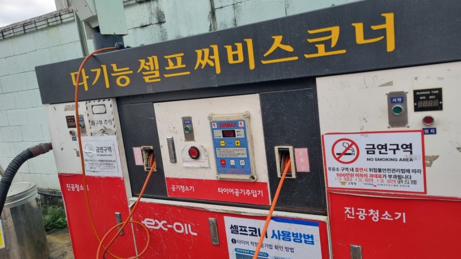 친미 사진 4