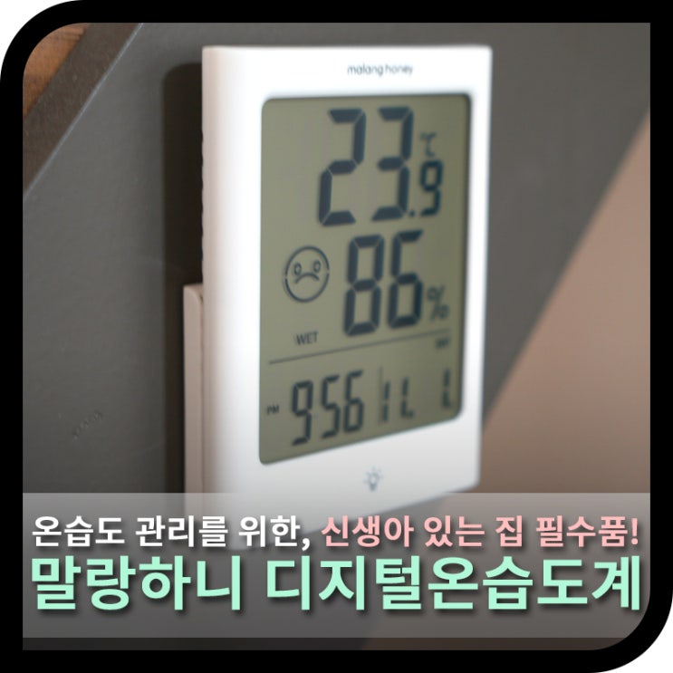  겨울철 온습도 관리를 위한 말랑하니 디지털 온습도계, 신생아 있는집 필수품!
