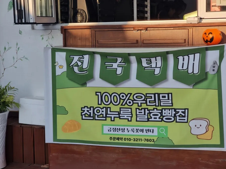 금정산성에누룩꽃이핀다 사진 2