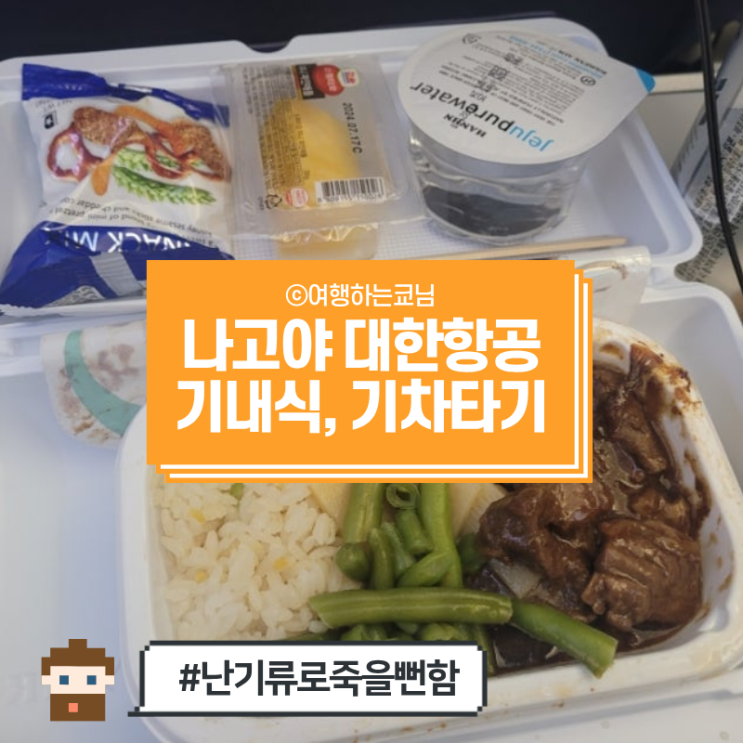  [여자 혼자 일본 나고야 여행] 인천공항에서 나고야 공항까지 대한항공 KE741 이코노미 기내식 (난기류...), 중부국제공항에서 뮤스카이 열차로 나고야 시내 가나야마역까지