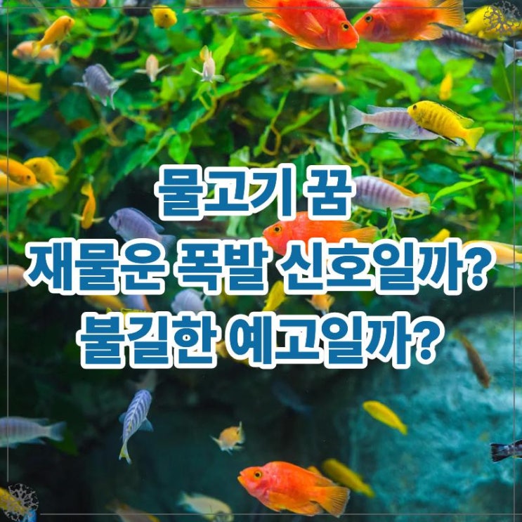  물고기 꿈 재물운 폭발의 신호일까 불길한 예고일까?