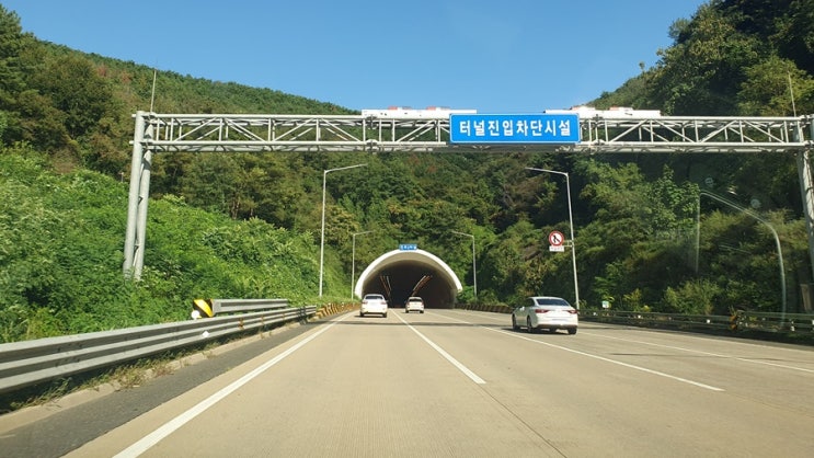  이직 시기 판단하는 기준 5가지, 지금 이직이 답일까?