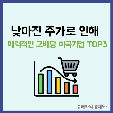  낮아진 주가로 더 매력적인 배당률을 가진 미국주식 TOP3