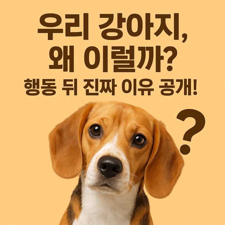 강아지 문제행동 원인 분석법 