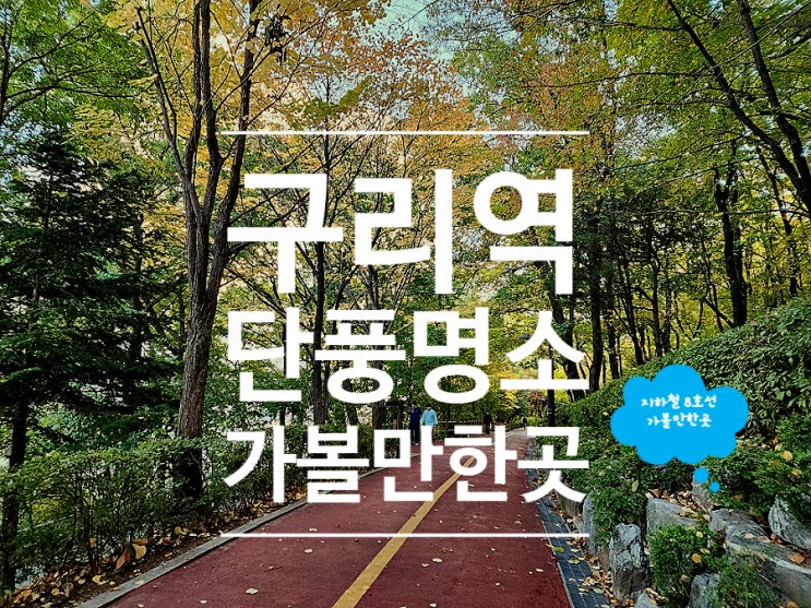 구리역 가볼만한곳 반려견 놀이터가 있는 인창중앙공원