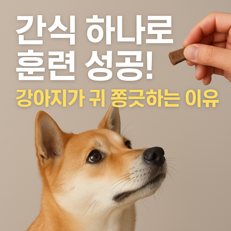   강아지 간식 활용 훈련법, 간식 하나로 훈련이 달라진다!