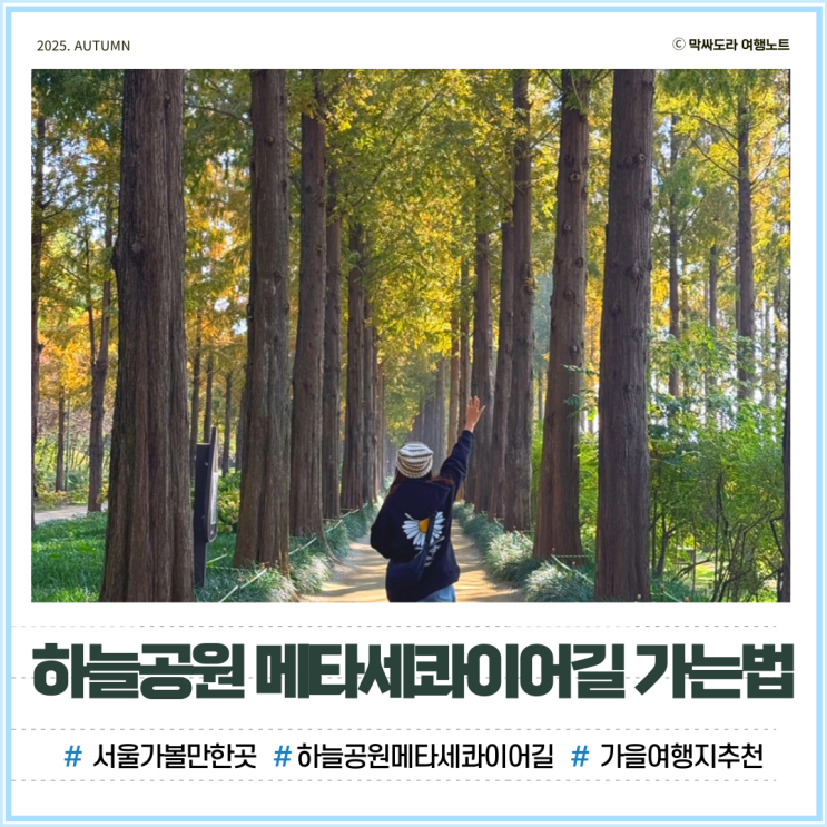  하늘공원 메타세콰이어길 산책 버스 지하철 타고 가는 방법