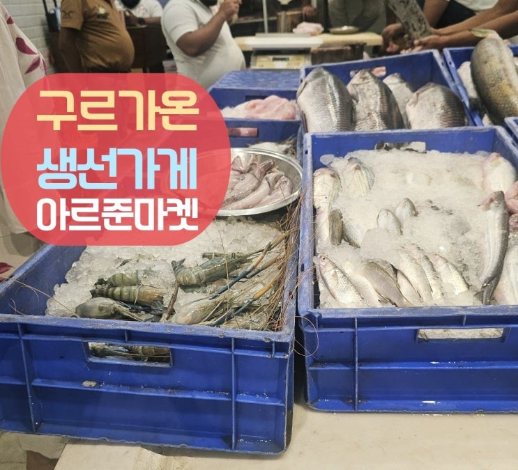  구르가온 아르준마켓 생선가게, 왕새우도 있네!