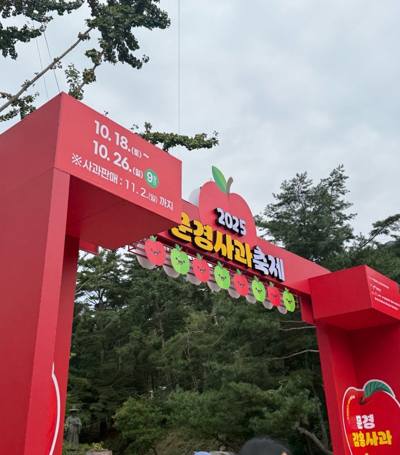 문경 사과축제 다녀옴 : 감홍사과 특징, 제철, 수확시기