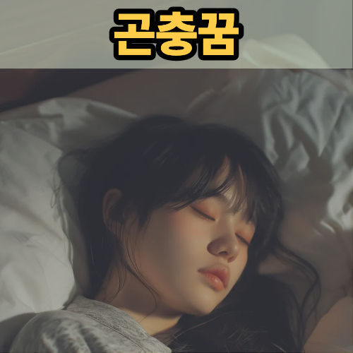 곤충꿈의 다양한 해석, 상황별로 달라요