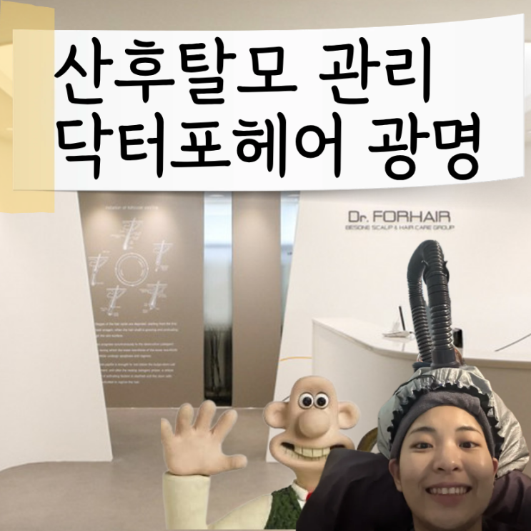  출산후 탈모관리 철산두피케어 닥터포헤어 광명점