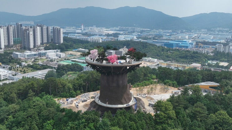  창원 빅트리, 실패의 이유는 무엇일까? 