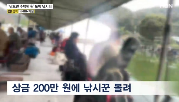   “불법 낚시터 잠입취재” 돈 걸고 붕어 낚는 사행성 이벤트, 참가자 처벌까지 위험하다