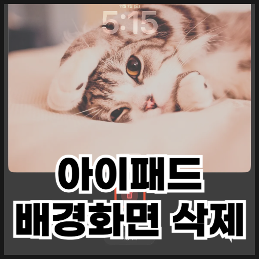 아이패드 배경화면 삭제 및 변경 방법