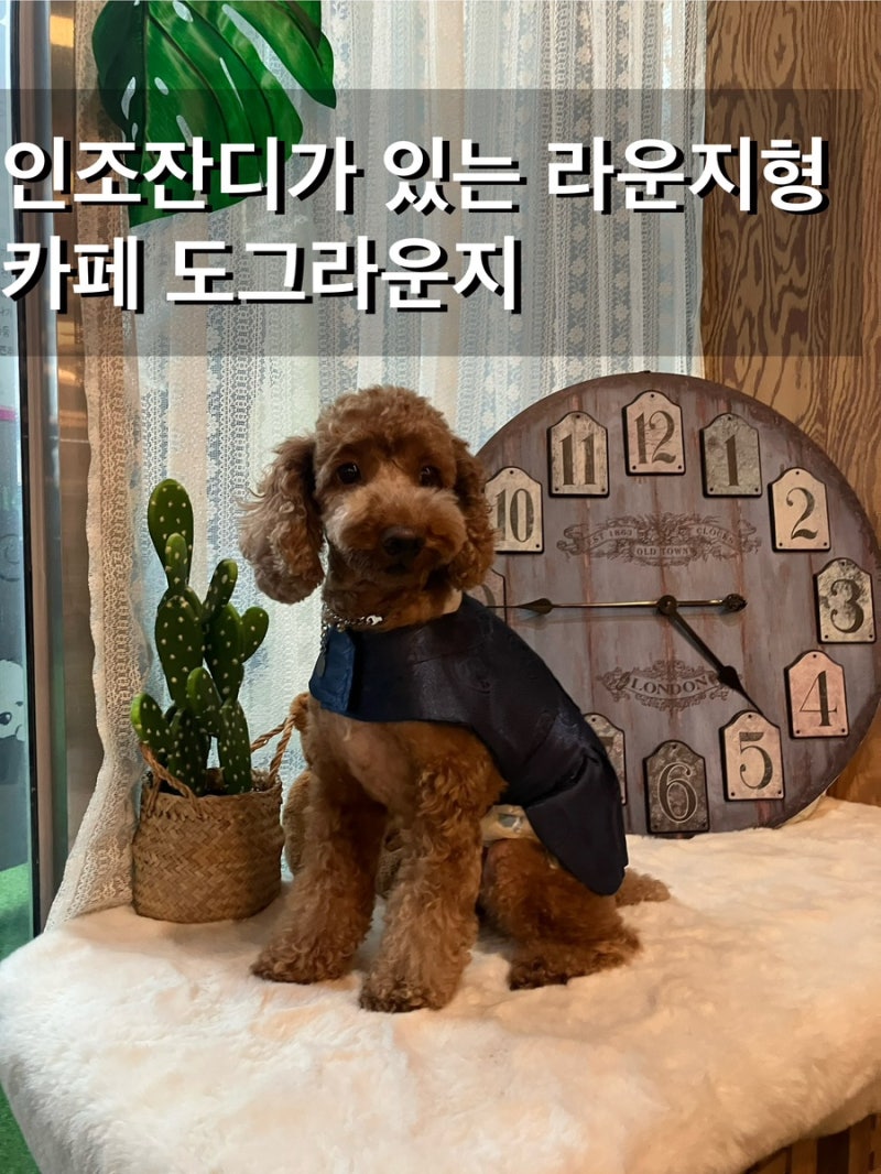 사진 3