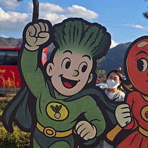 양구 펀치볼 시래기사과축제 - 주차, 일정, 무료, 유료 체험, 시식 부스, 양구사과종류