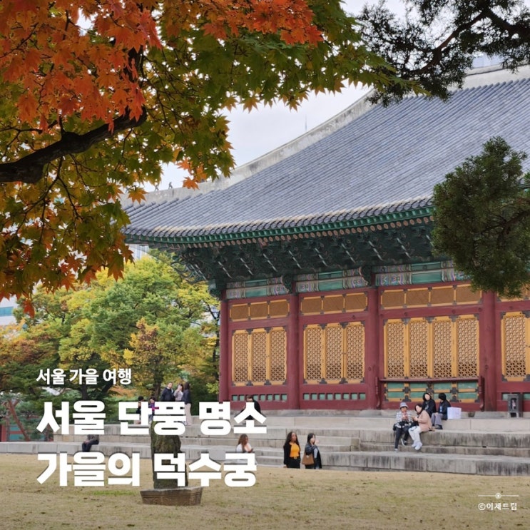  서울 가볼만한곳 덕수궁 단풍 실시간 고궁멜로디 국현미