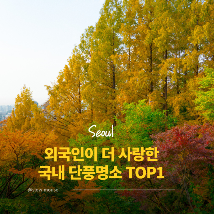  외국인이 더 사랑한 국내 단풍 명소 1위