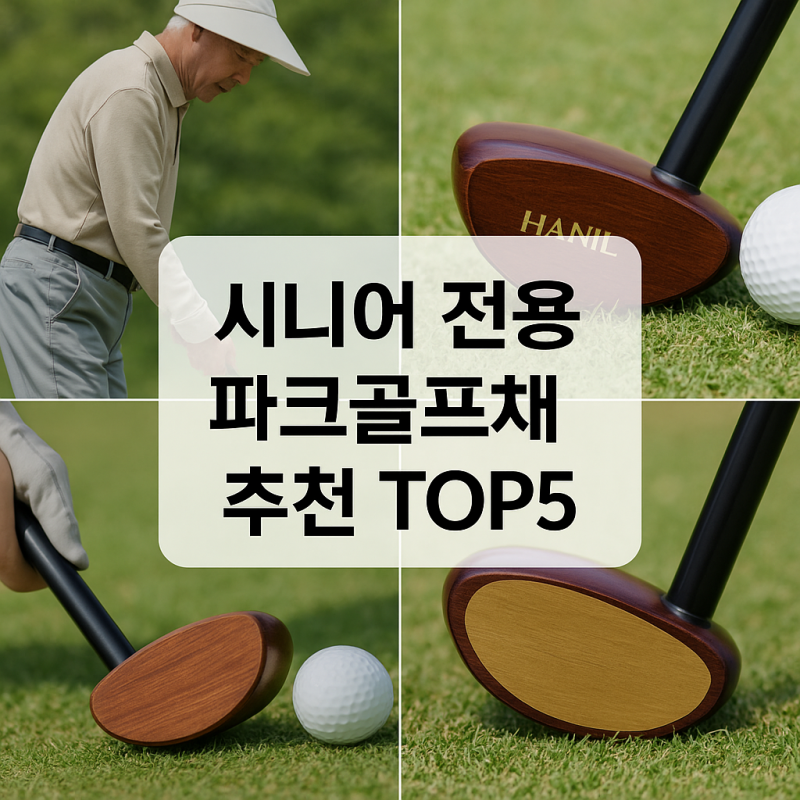 시니어 전용 국산 파크골프채 추천 순위 TOP5