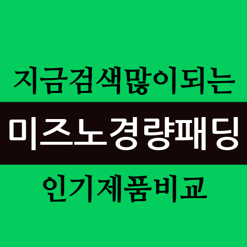 미즈노경량패딩 - 지금 검색많이되는 인기제품