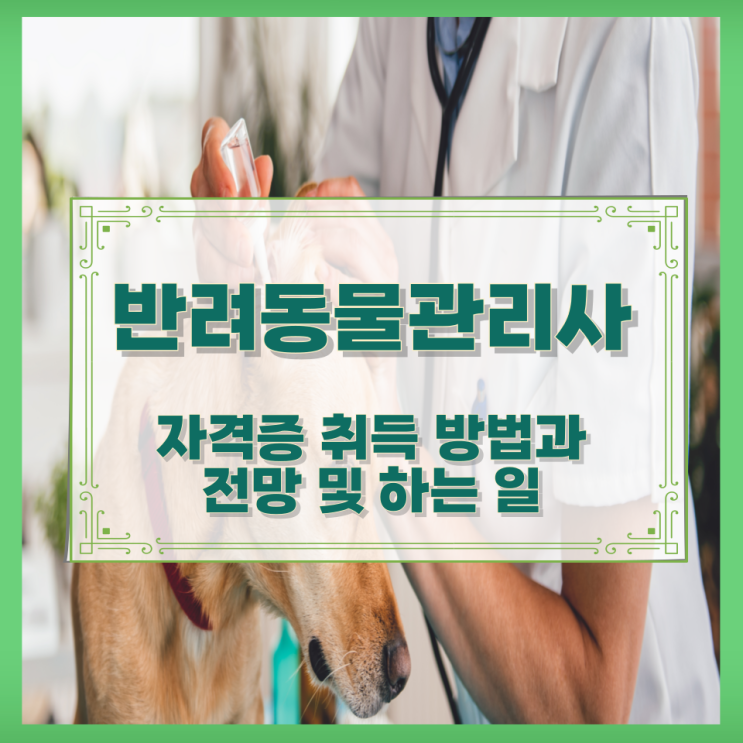  반려동물관리사 자격증 취득 방법과 전망 및 하는 일