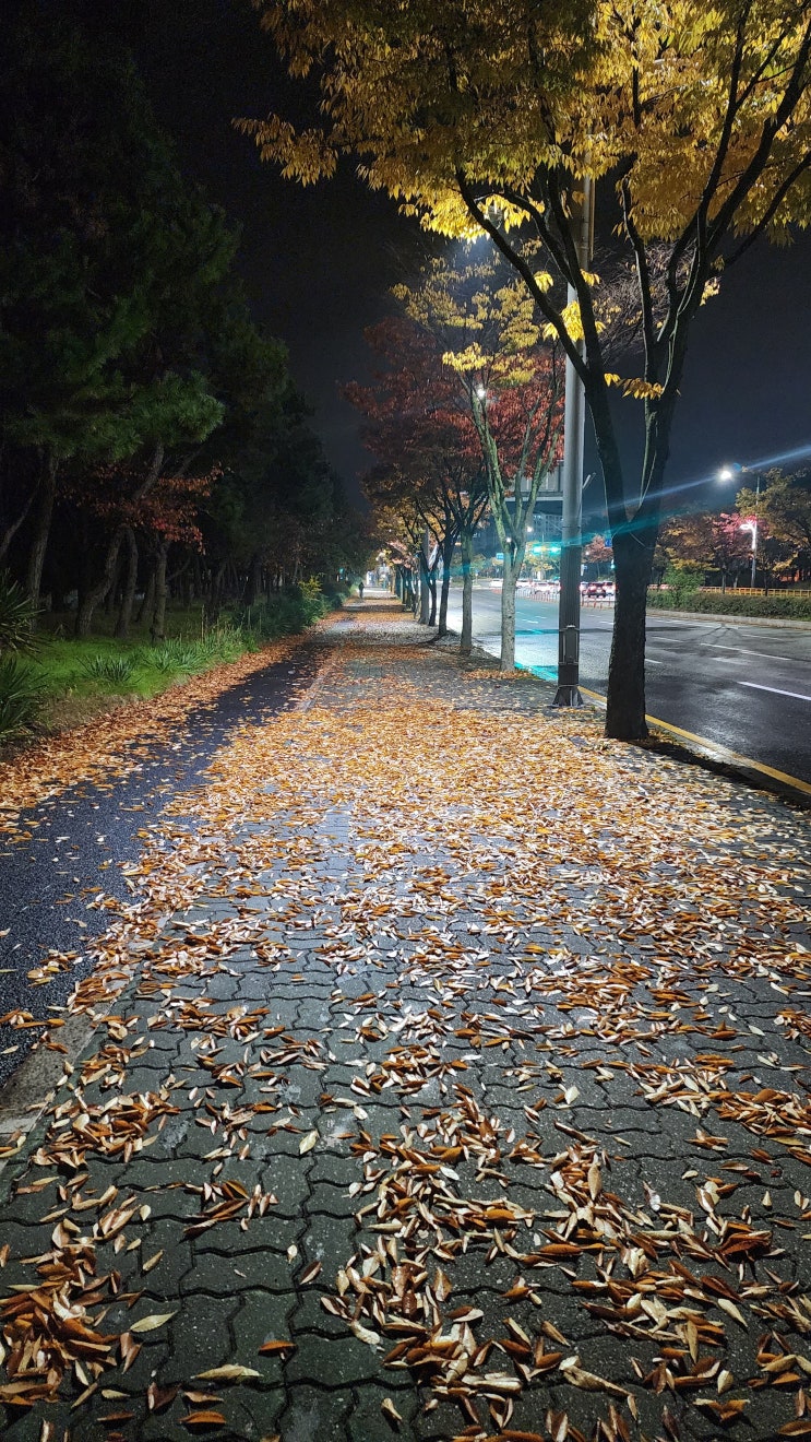 [20대 마인드 컨트롤] 기회는 준비된 자에게 온다 그리고 정리