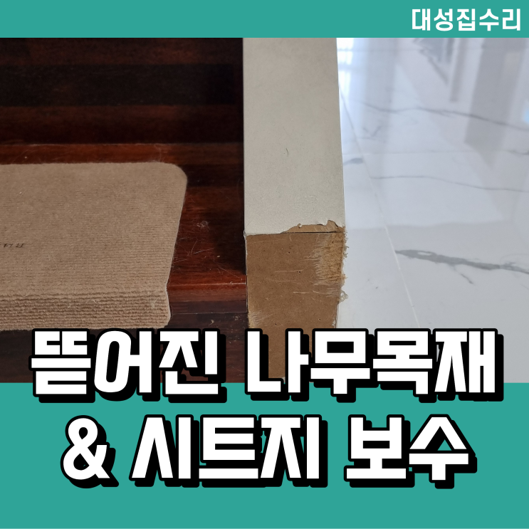 강아지가 뜯은 나무목재 시트지 보수