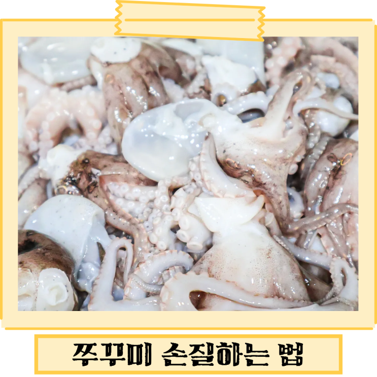  쭈꾸미손질법 냉동 해동방법 까지