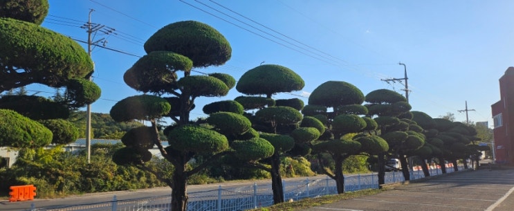  한일튜브 울산공장 2일차 전정대행("울산전정대행 ")