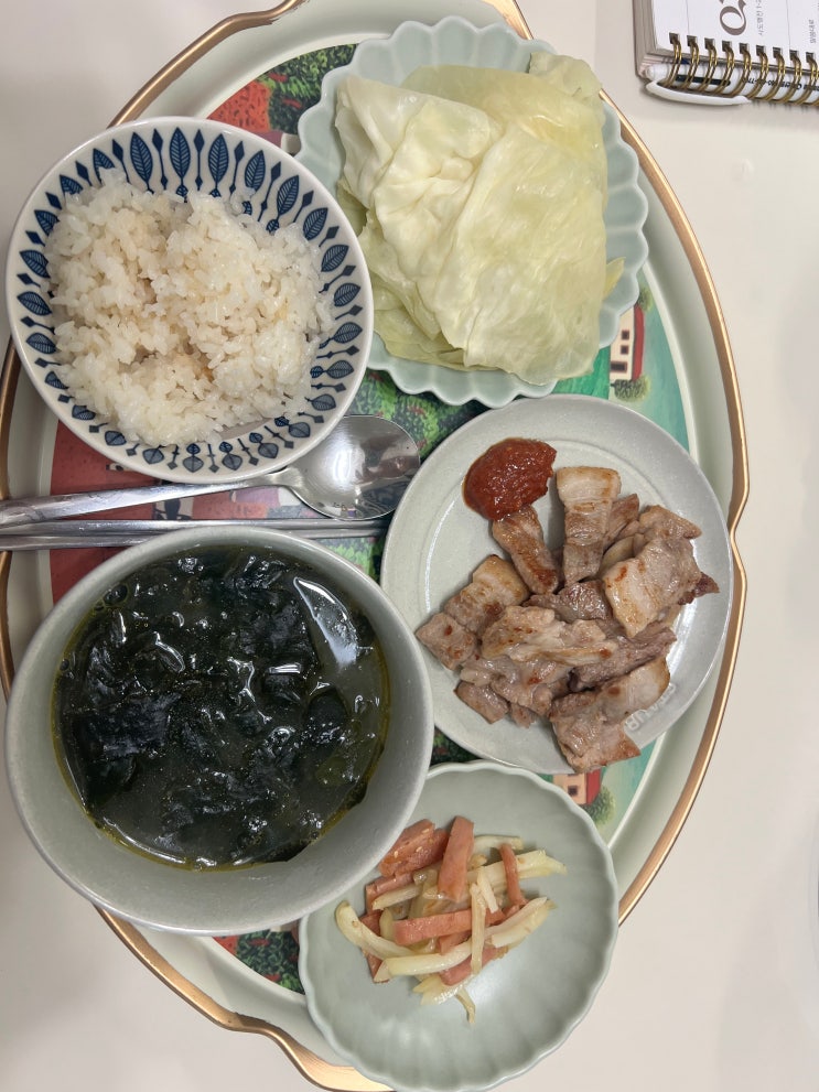  세종 산후도우미 3주 솔직후기(feat. 나만알고싶은 이모님)