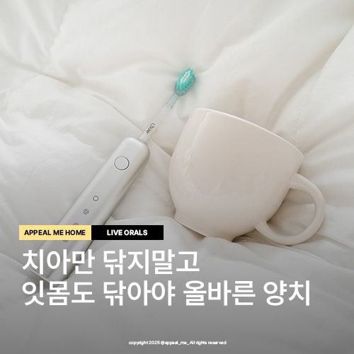  음파 전동칫솔 추천 오라원킥스윙 라이브오랄스