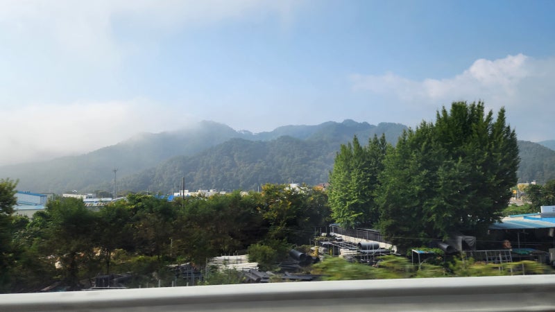 사진 7