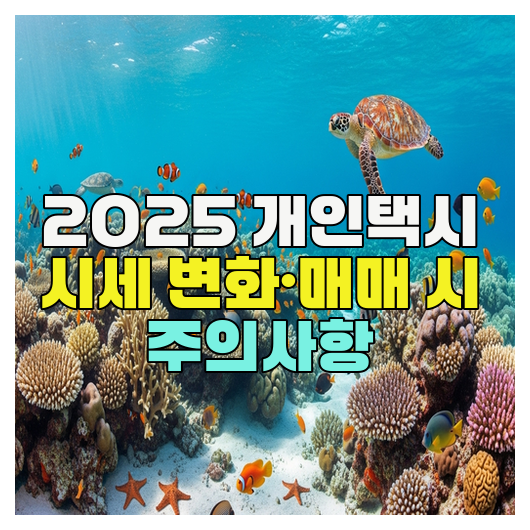  2025 개인택시 시세 변화·매매 시 주의사항