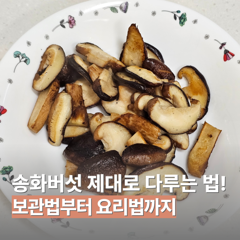 송화버섯 제대로 다루는 법! 보관법부터 요리법까지