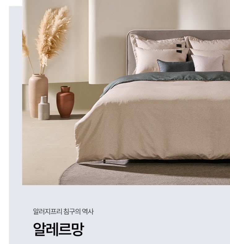  [내돈내산] 알레르망 브리든 비건구스 실사용 후기｜한겨울 보온, 촉감, 세탁 편의