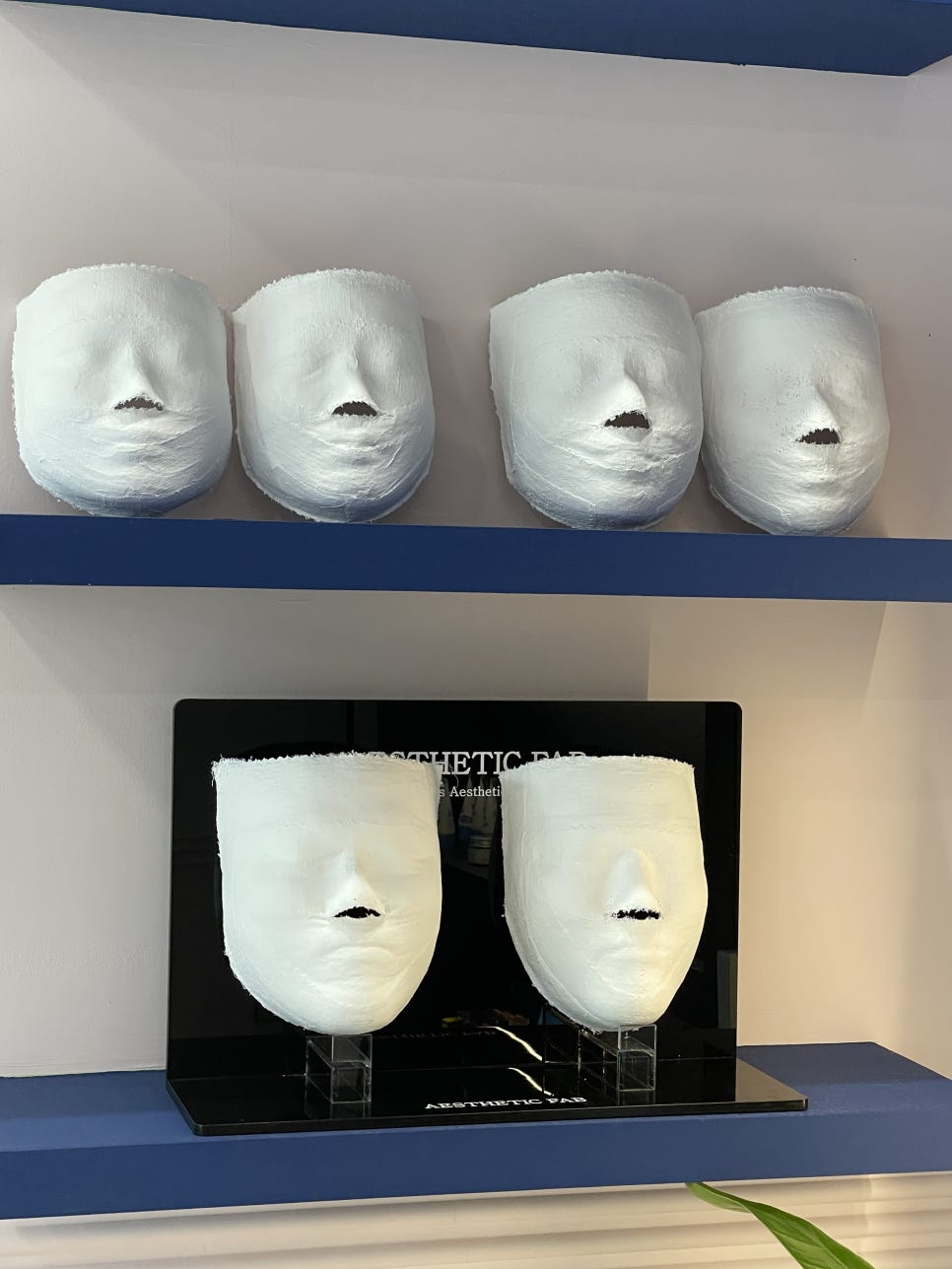 페브 사진 5