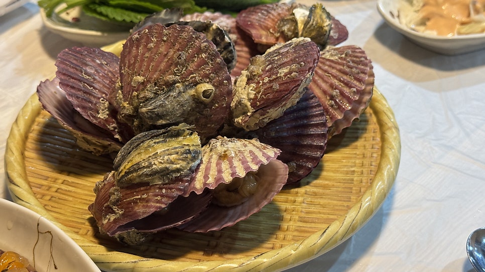 바다사랑 사진 5