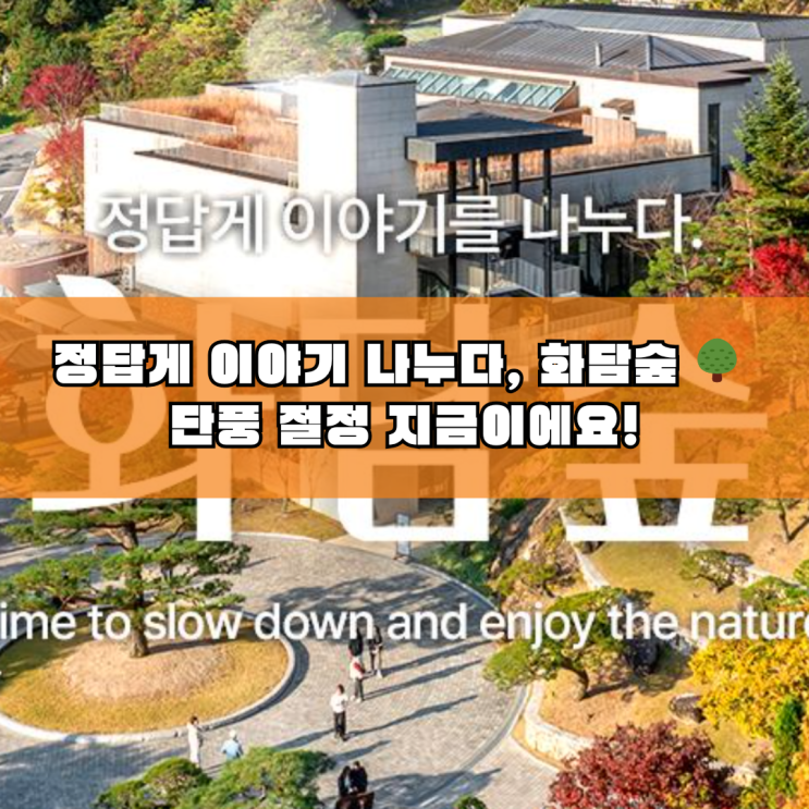  가을 단풍 절정! 화담숲 예매 총정리 (입장권·모노레일·화담채)