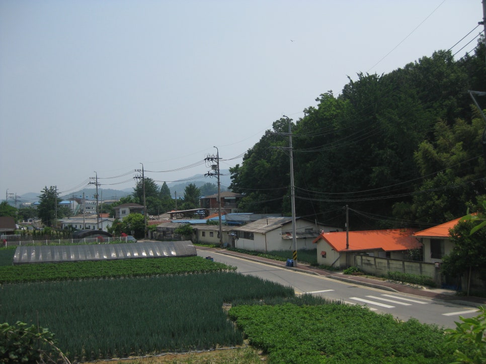 Gusigol photo 4