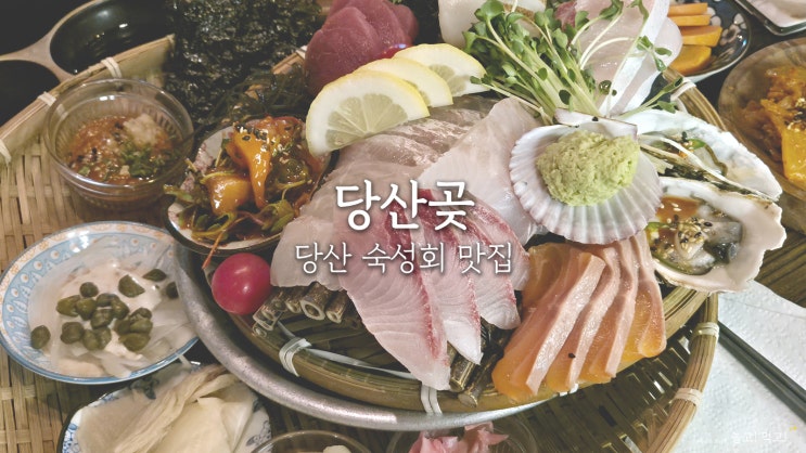  당산곶: 분위기 좋은 숙성회 술집 내돈내산 솔직후기
