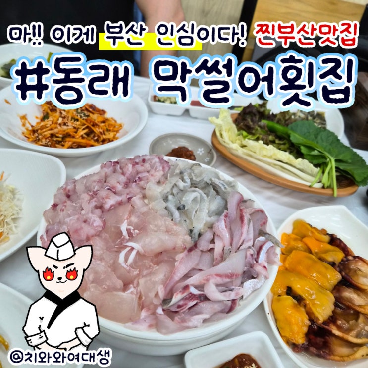  온천장회맛집 막썰어횟집 산오징어 부산동래구횟집추천 재방문